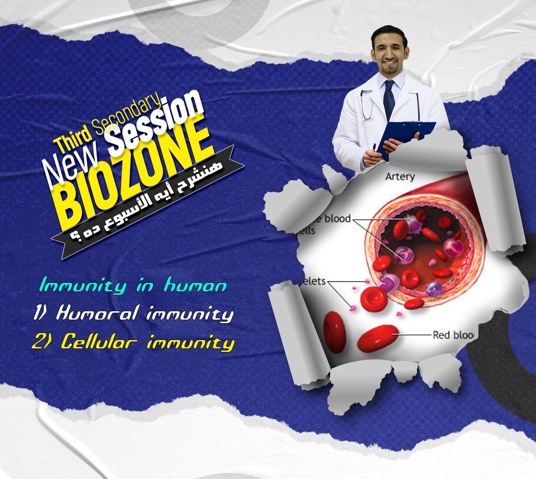 Immunity in Human - 2